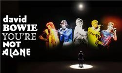 Mt09 Chain Sprocket Set 525 Pitch - David Bowie: You’re Not Alone
