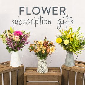 Mt09 Chain Sprocket Set 525 Pitch - Hand Tied 6 Month Flower Gift