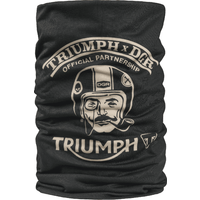 Triumph Cornelius Reversible N - Titanium Motorcycle Rear Sprocket 520 review and price