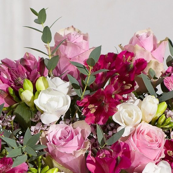 Luxury Roses and Freesias - Mt09 Chain Sprocket Set 525 Pitch review and price