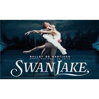 Ballet de Santiago Swan Lake - Mt09 Chain Sprocket Set 525 Pitch review and price