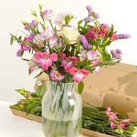 Letterbox Monthly Flower Gift - Mt09 Chain Sprocket Set 525 Pitch review and price